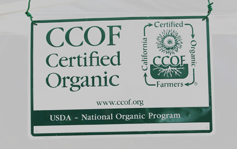 ccofsign_72dpi