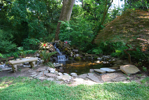 gale_sycamore_glade_72dpi