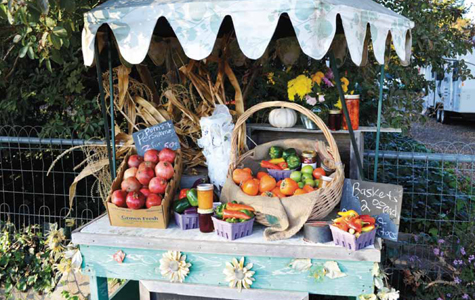 windmillfarmstand_72dpi